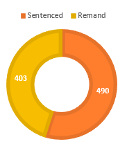 A chart showing that 403 women in custody in NSW are on remand, compared to 490 women who are sentenced.